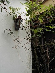 f:id:cangael:20181011124124j:image:left