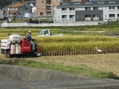 f:id:cangael:20181017104321j:image