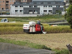 f:id:cangael:20181017104338j:image