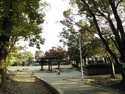 f:id:cangael:20181030153059j:image:right