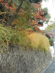 f:id:cangael:20181112133914j:image:left