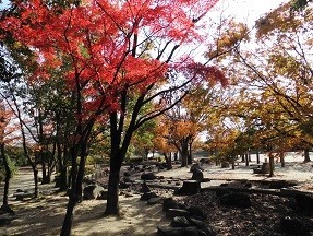 f:id:cangael:20181130112452j:image:left