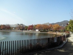 f:id:cangael:20181130112854j:image:right