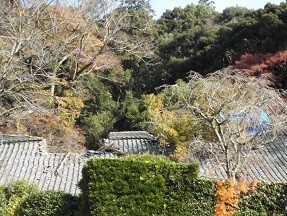 f:id:cangael:20181202112406j:image