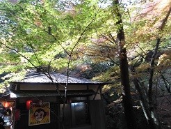 f:id:cangael:20181202120711j:image