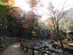 f:id:cangael:20181202131950j:image