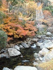 f:id:cangael:20181202132316j:image f:id:cangael:20181202132316j:image