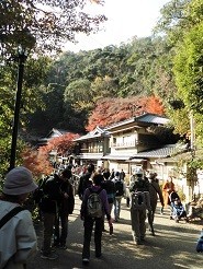 f:id:cangael:20181202133804j:image f:id:cangael:20181202133804j:image