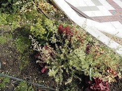 f:id:cangael:20181209105343j:image:right f:id:cangael:20181209105343j:image:right