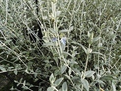 f:id:cangael:20181209105404j:image:right f:id:cangael:20181209105404j:image:right