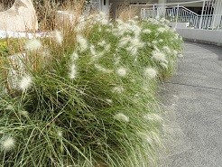 f:id:cangael:20181209105436j:image:right f:id:cangael:20181209105436j:image:right