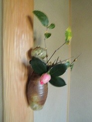 f:id:cangael:20181214133046j:image f:id:cangael:20181214133046j:image