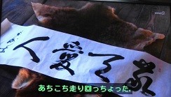 f:id:cangael:20181216202702j:image:left