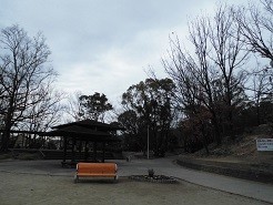 f:id:cangael:20190110121700j:image:right