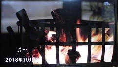 f:id:cangael:20190119232840j:image f:id:cangael:20190119232840j:image