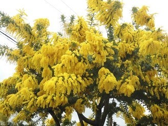 f:id:cangael:20190304150850j:plain f:id:cangael:20190304150850j:plain