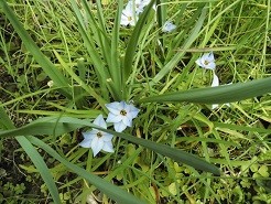 f:id:cangael:20190322102743j:plain