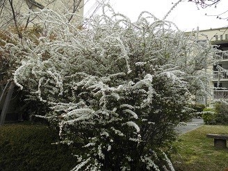 f:id:cangael:20190325132744j:plain