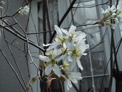 f:id:cangael:20190411101228j:image:right f:id:cangael:20190411101228j:image:right