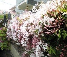 f:id:cangael:20190505130852j:plain f:id:cangael:20190505130852j:plain