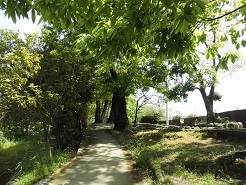 f:id:cangael:20190505131443j:plain f:id:cangael:20190505131443j:plain