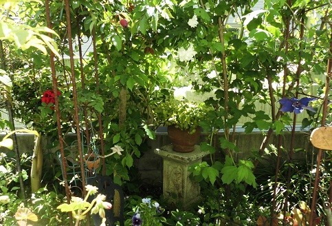 f:id:cangael:20190507103419j:plain