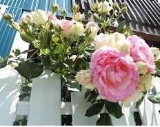 f:id:cangael:20190516092511j:plain