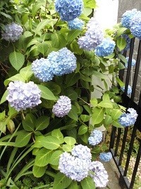 f:id:cangael:20190605112537j:plain f:id:cangael:20190605112537j:plain