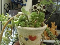 f:id:cangael:20190615124401j:image:right f:id:cangael:20190615124401j:image:right