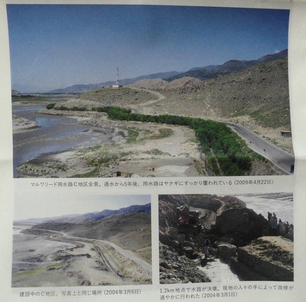 f:id:cangael:20190711143205j:plain