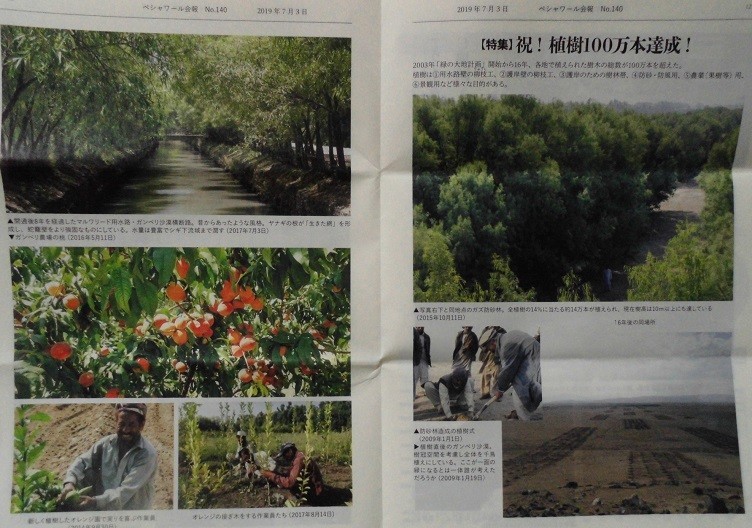 f:id:cangael:20190711143234j:plain