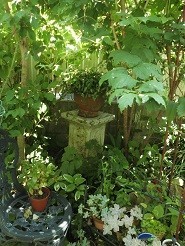 f:id:cangael:20190804123444j:image:right