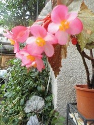 f:id:cangael:20190910122738j:plain f:id:cangael:20190910122738j:plain
