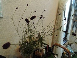 f:id:cangael:20190918100829j:image:left