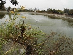 f:id:cangael:20191021145242j:image:left