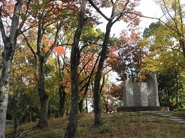 f:id:cangael:20191117133130j:plain f:id:cangael:20191117133130j:plain