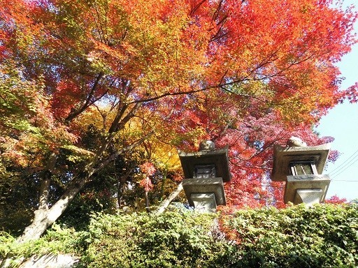 f:id:cangael:20191201134041j:plain