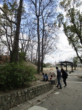 f:id:cangael:20200315132625j:plain