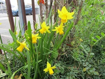 f:id:cangael:20200315133520j:plain