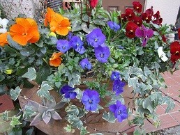 f:id:cangael:20200319113827j:image:right f:id:cangael:20200319113827j:image:right