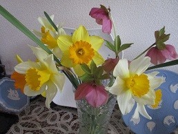f:id:cangael:20200320092427j:image:right