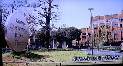 f:id:cangael:20200411095912j:image:left