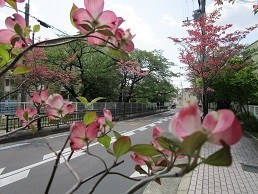 f:id:cangael:20200427104720j:plain f:id:cangael:20200427104720j:plain
