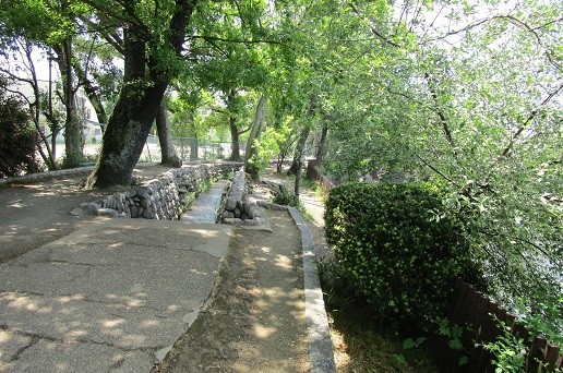 f:id:cangael:20200511110519j:plain f:id:cangael:20200511110519j:plain