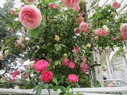 f:id:cangael:20200521144600j:plain