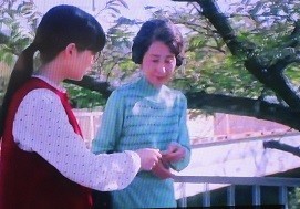 f:id:cangael:20200601172845j:plain f:id:cangael:20200601172845j:plain