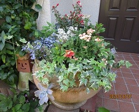 f:id:cangael:20200607092709j:plain