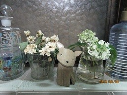 f:id:cangael:20200608200608j:image:right