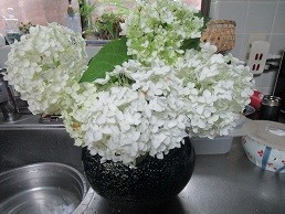 f:id:cangael:20200620081149j:plain