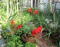 f:id:cangael:20200701073138j:image:right